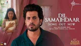 Dil Samajhdaar Ringtone